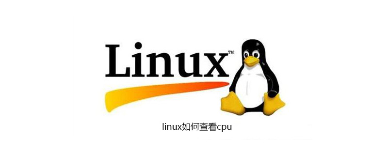linux如何查看cpu