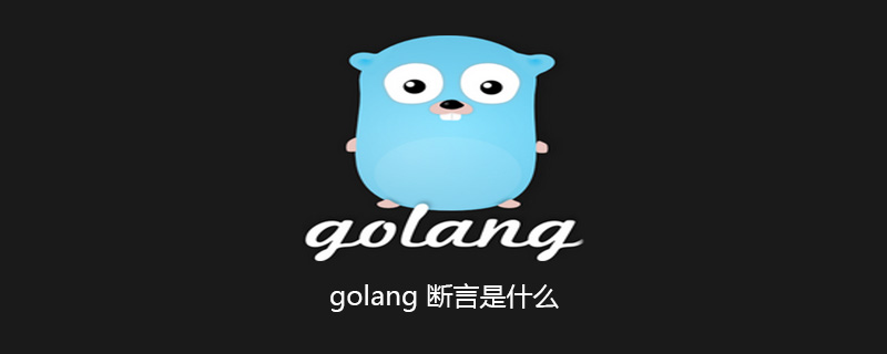 golang 断言是什么