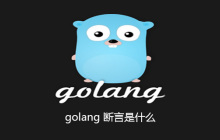 golang 断言是什么
