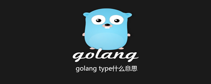 golang type什么意思