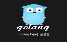 golang type什么意思