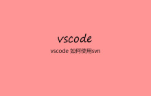 vscode 如何使用svn