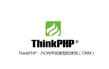 ThinkPHP：JSON字段类型的使用（ORM）