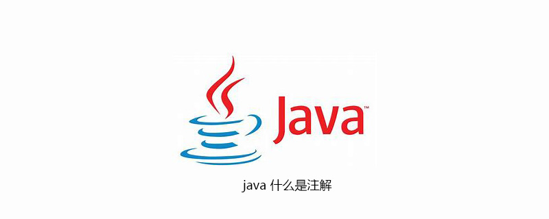 java 什么是注解