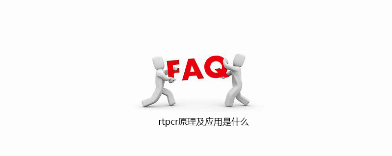 rtpcr原理及应用是什么