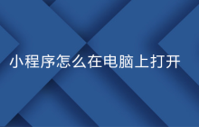小程序怎么在电脑上打开