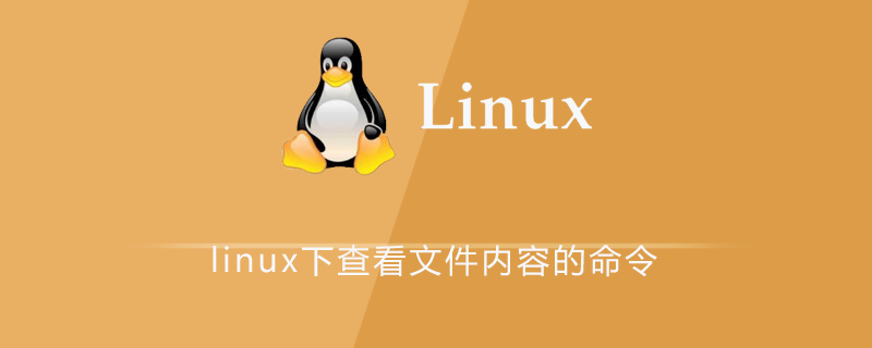 linux下查看文件內容的命令-小浪學習網