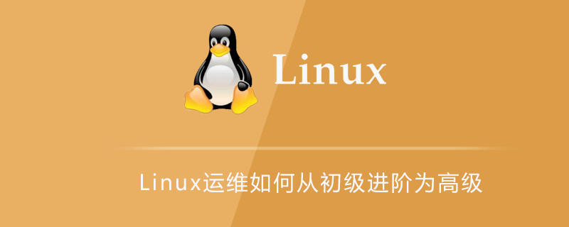 Linux運(yùn)維如何從初級進(jìn)階為高級-小浪學(xué)習(xí)網(wǎng)