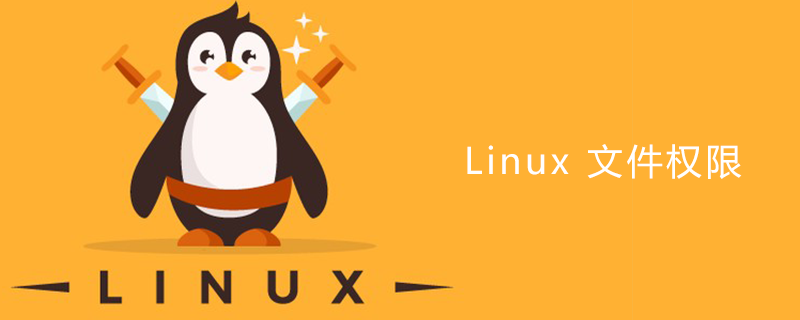 Linux 文件權(quán)限-小浪學習網(wǎng)