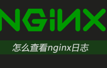 怎么查看nginx日志