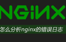 怎么分析nginx的错误日志