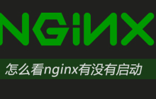 怎么看nginx有没有启动