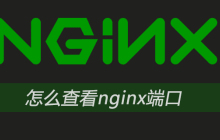 怎么查看nginx端口