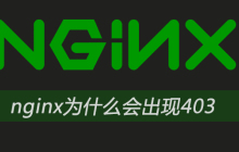 nginx为什么会出现403