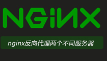 nginx反向代理两个不同服务器