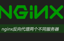 nginx反向代理两个不同服务器
