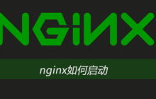 nginx如何启动