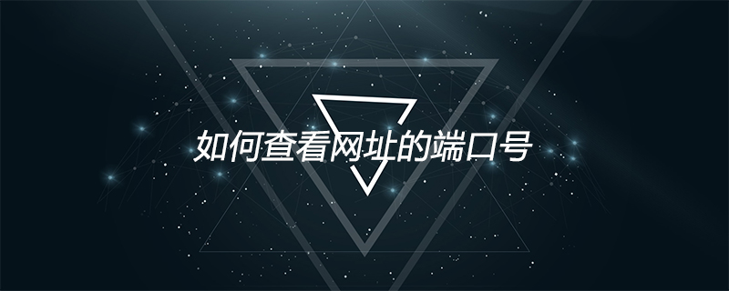 如何查看网址的端口号