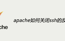 apache如何关闭ssh的反向解析