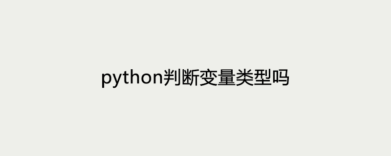 python判断变量的类型吗