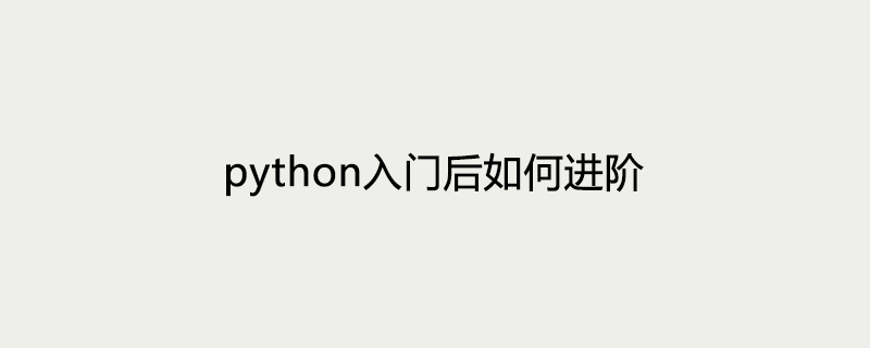 python入门后如何进阶