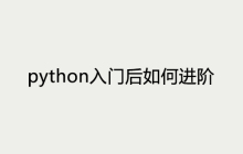 python入门后如何进阶