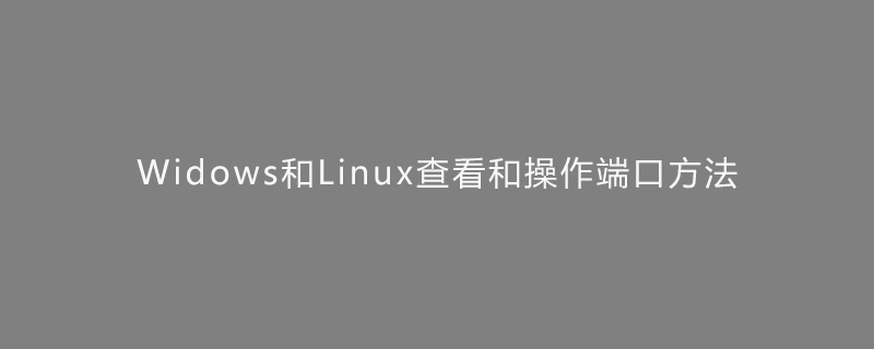 Widows 및 Linux에서 포트를 보고 작동하는 방법