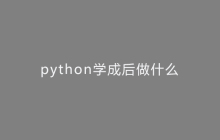 python学成后做什么