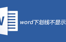 word下划线不显示怎么解决
