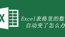 表格里的数字自动变了怎么解决