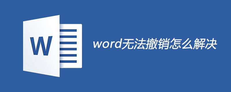 word無法撤銷怎么解決-小浪學習網