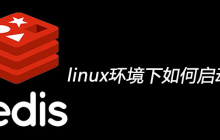 linux环境下如何启动redis