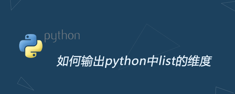如何输出python中list的维度