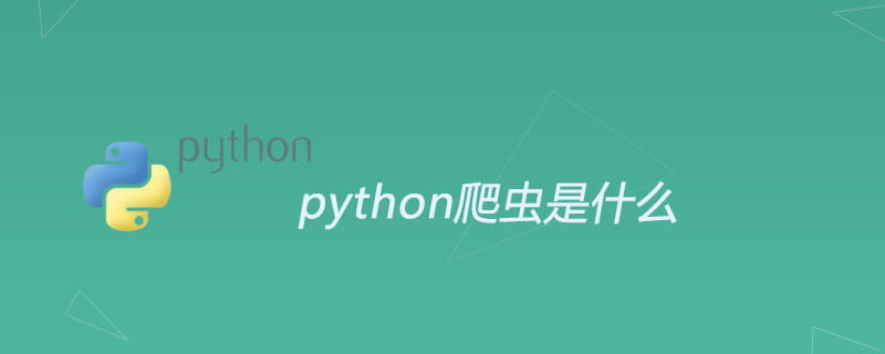 python爬虫通俗点讲是什么