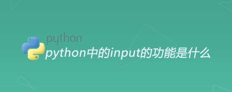 python中的input的功能是什么
