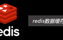 redis数据缓存在哪里
