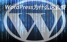WordPress为什么这么慢