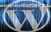 wordpress网站的域名怎么改