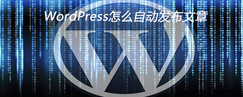 WordPress怎么自動發布文章-小浪學習網