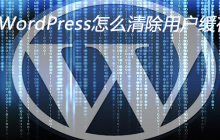 WordPress怎么清除用户缓存