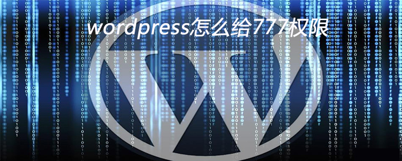 wordpress怎麼給777權限