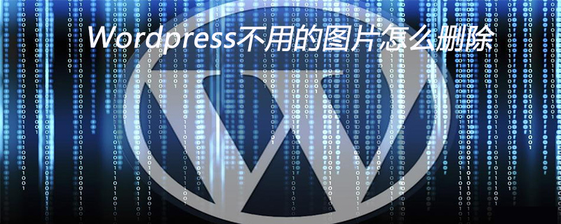 WordPress中不用的圖片怎么刪除-小浪學習網