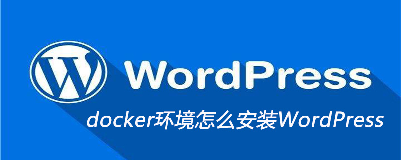 docker環境怎么安裝WordPress-小浪學習網