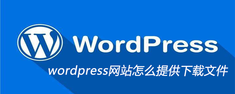 How to provide download files on wordpress website