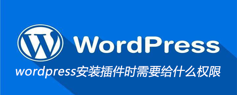 wordpress安裝插件時需要給什么權限-小浪學習網(wǎng)