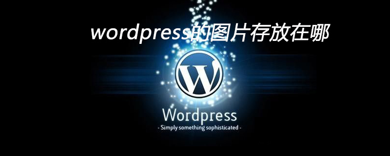 wordpress的圖片存放在哪-小浪學習網