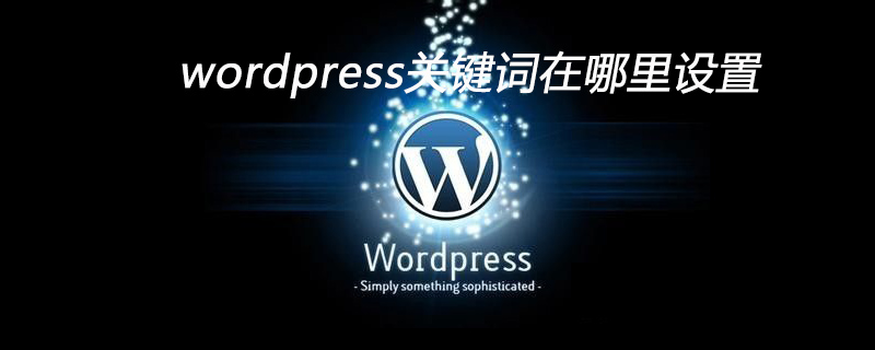 wordpress關(guān)鍵詞在哪里設(shè)置-小浪學(xué)習(xí)網(wǎng)