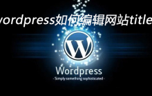 wordpress如何编辑网站titlebar