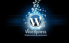 wordpress如何设置用户登录才能下载文件