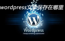 wordpress文章保存在哪里